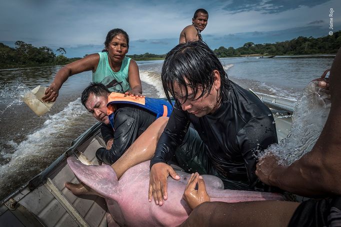 Wildlife Photographer of the Year, nominace na cenu veřejnosti