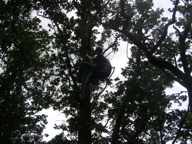 Paraglidista uvízl ve větvích