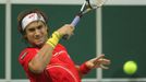 Finále Davis Cupu, zápas Radek Štěpánek - David Ferrer