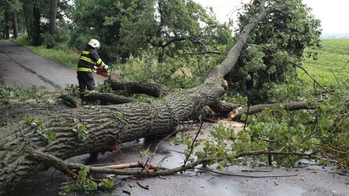 Stromy kvůli silnému větru padaly i na silnice a znemožňovaly plynulý provoz.