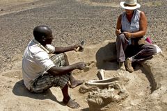 Archeologové našli nejstarší důkazy o válčení mezi lidmi. Jsou staré deset tisíc let