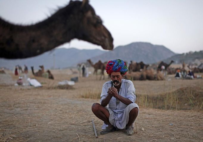 A camel herder lights a cigarette near a camel at Pushkar Fair in the desert Indian state of Rajasthan November 23, 2012. Many international and domestic tourists throng to Pushkar to witness one of the most colourful and popular fairs in India. Thousands of animals, mainly camels, are brought to the fair to be sold and traded. REUTERS/Danish Siddiqui (INDIA - Tags: SOCIETY ANIMALS) Published: Lis. 23, 2012, 5:15 odp.