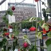 Oslo týden poté