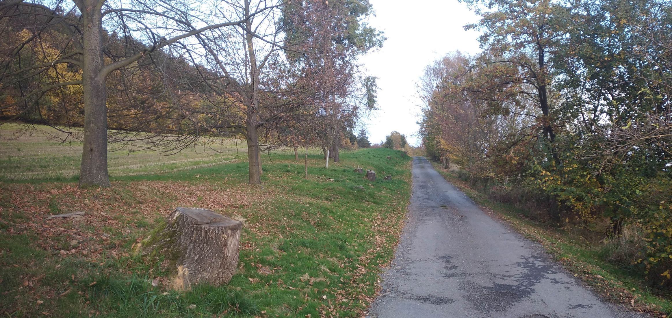 Soutěžní snímky Alej roku 2022