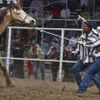 Obrazem: Vězeňské rodeo v USA