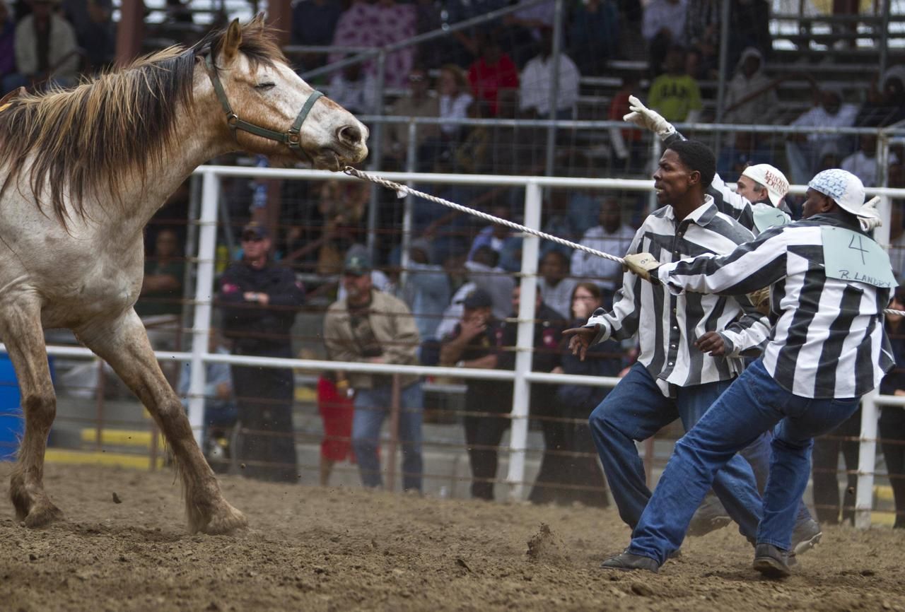 Obrazem: Vězeňské rodeo v USA