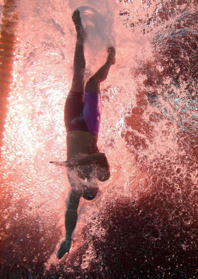 MS v plavání Barcelona 2013: Florent Manaudou