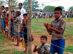 Mladí Tamilové v uprchlickém táboře Menikfam Vanni nedaleko města Chettekulam na severu Srí Lanky. Jedni z mnoha, kteří čekají, až se budou moci začlenit do zbytku společnosti na Srí Lance