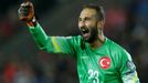 Turkey's goalkeeper Volkan Babacan celebrates after a goal was scored against Czech Republic during their Euro 2016 group A qualification soccer match in Prague, Czech Re