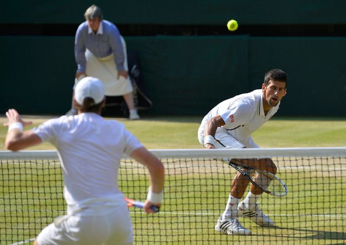 Novak Djokovič ve finále Wimbledonu 2013