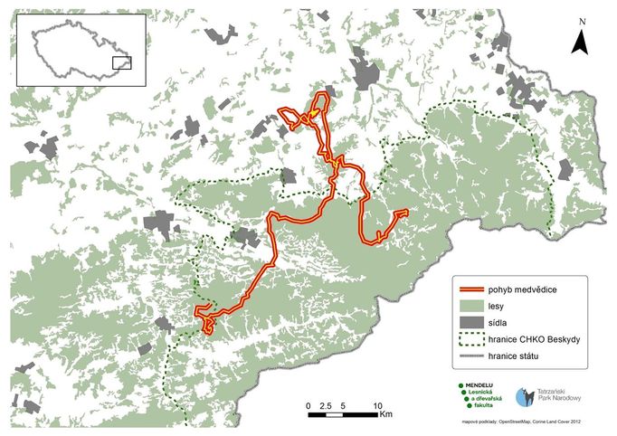 Mapa pohybu medvědice