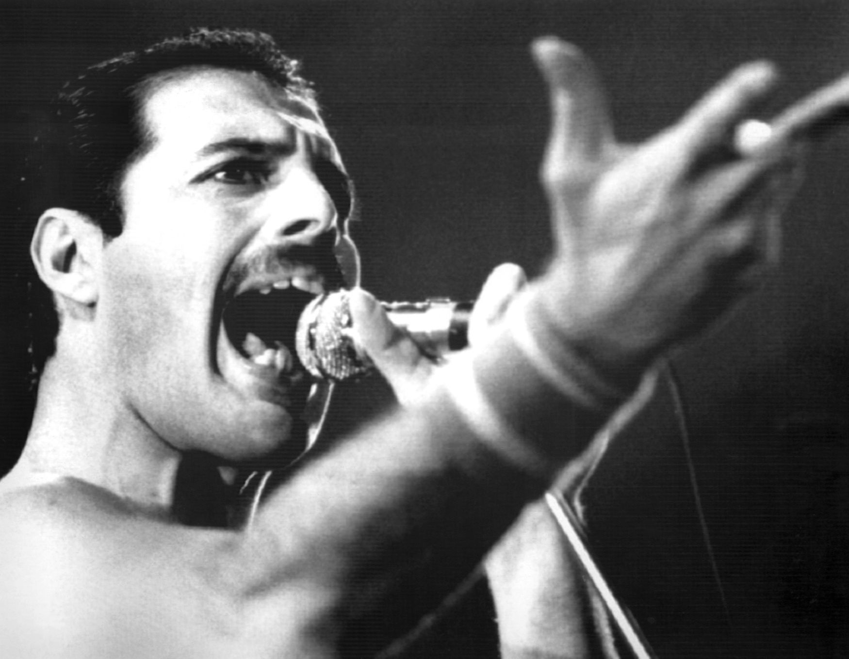 Freddie Mercury, Queen, 1984