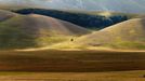 Rozkvetlá letní pole v okolí italské vesnice Castelluccio di Norcia