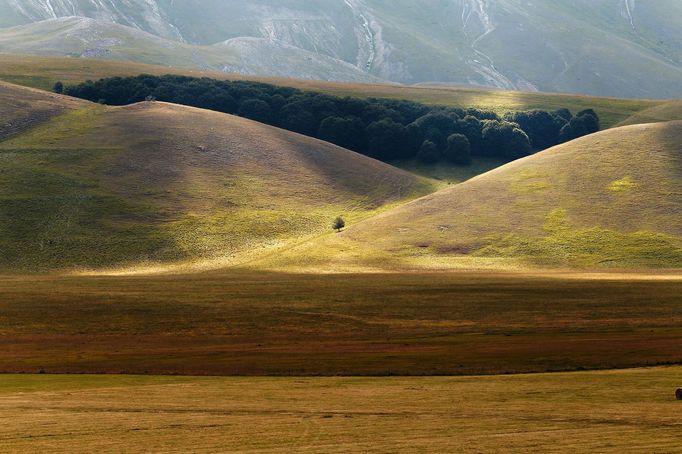 Rozkvetlá letní pole v okolí italské vesnice Castelluccio di Norcia