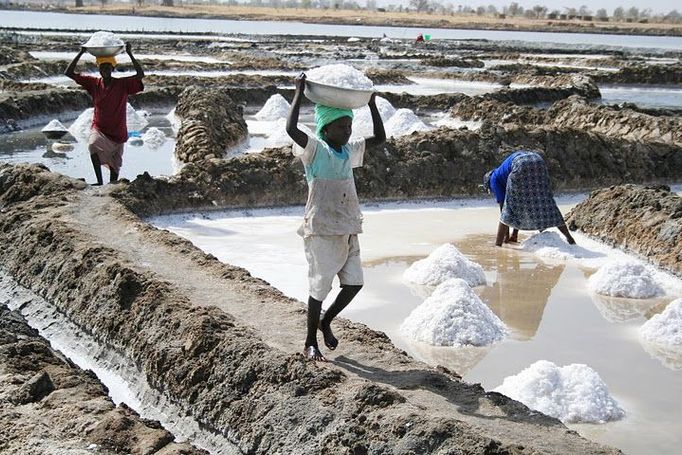 Senegal - Ačkoliv se počet pracujících dětí celosvětově snižuje, množství chlapců ve věku 15-17 let působících v těžbě bohužel stoupá.  Nicméně v těžařských oblastech najdeme i statisíce dívek, pro které tvrdé a geograficky izolované prostředí převážně mužských komunit představuje zcela specifická nebezpečí.  Dívky se účastní nejen zpracování nebo přepravy vytěžené suroviny, ale jsou nu­ceny vykonávat také "ženské práce". Nesou si dvojí břemeno.  Výzkumy v Ghaně, Nigeru nebo Peru ukázaly, že děvčata často pracují déle než chlapci. Zatímco chlapec si po práci může "ukrást" chvíli pro studium, dívku čekají další úkoly spo­jené s péčí o domácnost a rodinu.  Nemálo dívek je ze strany horníků vystaveno sexuálnímu násilí. Mezinárodní organizace práce (ILO), která v roce 2007 zkoumala situaci dívek pracujících v tanzanských dolech, zjistila, že dvě třetiny z nich se pravidelně prodávaly, více než šestina se prostituci věnovala "na plný úvazek".  Mnohé uváděly, že tak činí z čiré nutnosti, výměnou za jídlo a oblečení.