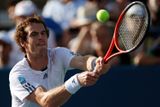 I Murray se na posledních dvou velkých turnajích střetl s Federerem a dokonce až ve finále. Ve Wimbledonu sice prohrál, ale finále olympijského turnaje na tom samém místě vyhrál.