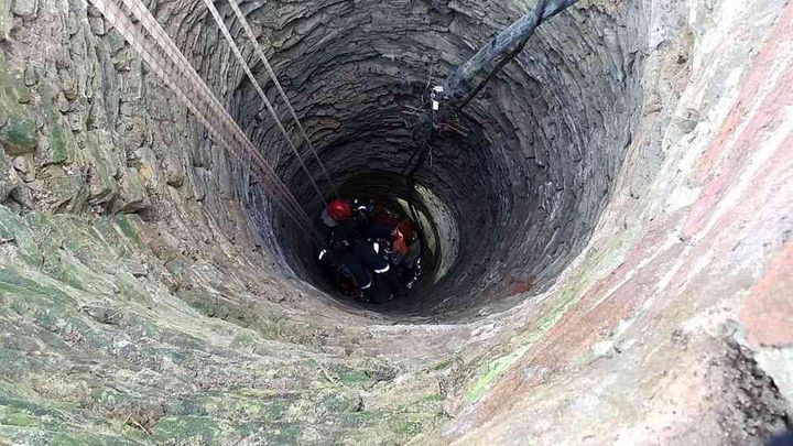 Půltunový býk spadl do studny na Pardubicku, vyprošťují ho hasiči