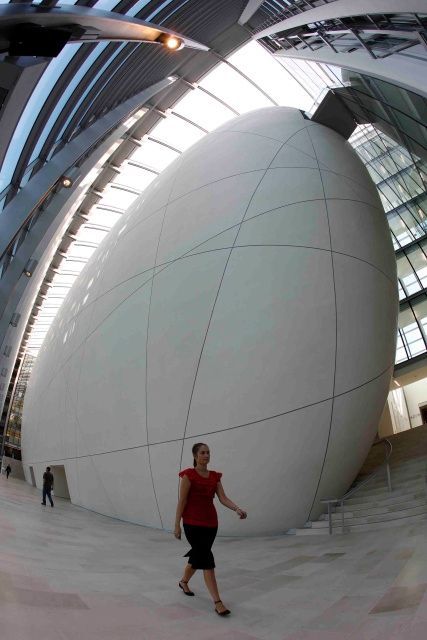 Darwinovo cetrum