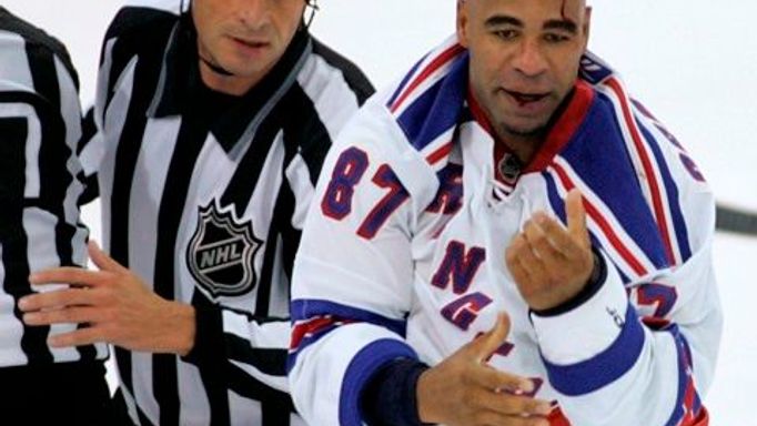 Donald Brashear, bitkař NHL