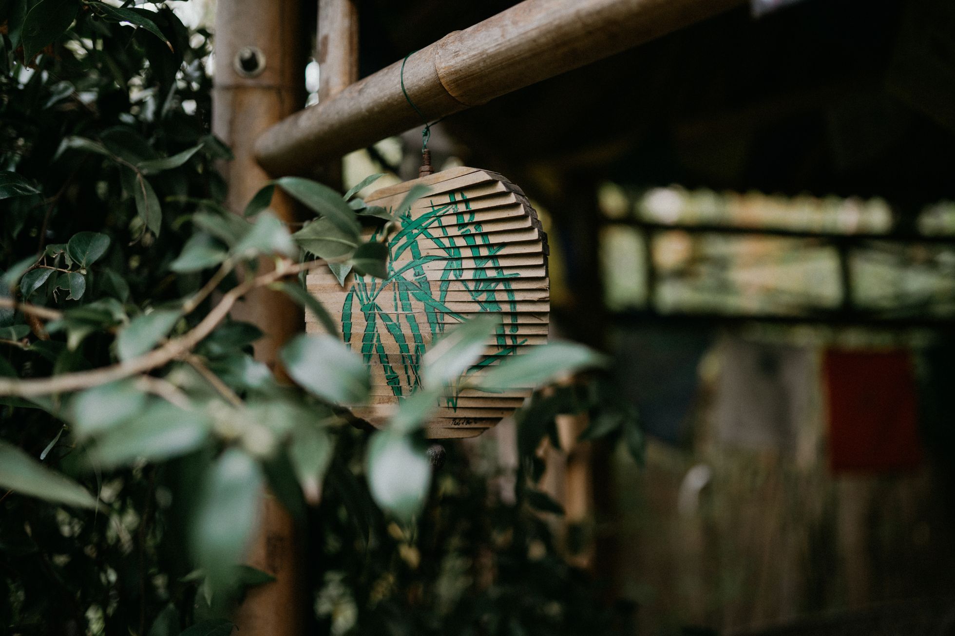 Bambusárium Bohnice