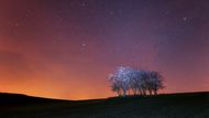 Moravské Slovácko. Ukázky z fotografické knihy Radka Severy a básnířky Ivety Gajda-Raponi