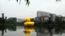 WUHAN, CHINA - JUNE 01: (CHINA OUT) A giant rubber duck is on display on June 1, 2013 in Wuhan, Hubei province of China. The six-meter tall rubber duck is on shown in the city beginning on June 1 to celebrate the International Children's Day. The duck is a copy of Dutch artist Florentijn Hofman's original giant 16.5-m tall 'Rubber Duck', which was on shown in May 2013 in Hong Kong.