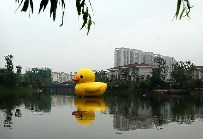 WUHAN, CHINA - JUNE 01: (CHINA OUT) A giant rubber duck is on display on June 1, 2013 in Wuhan, Hubei province of China. The six-meter tall rubber duck is on shown in the city beginning on June 1 to celebrate the International Children's Day. The duck is a copy of Dutch artist Florentijn Hofman's original giant 16.5-m tall 'Rubber Duck', which was on shown in May 2013 in Hong Kong.