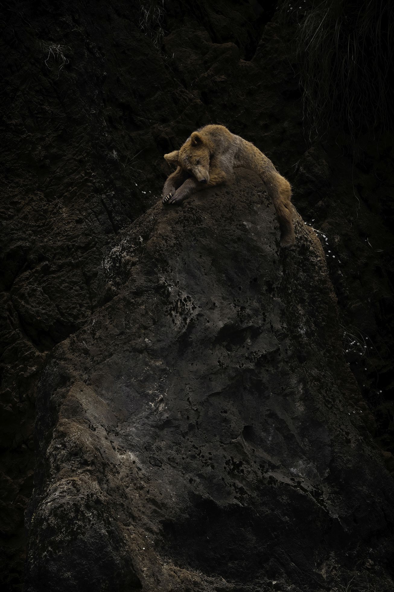 Czech Nature Photo 2023 - nominace