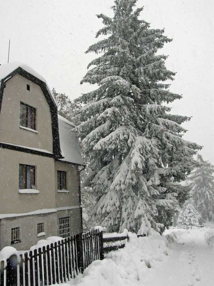 Sníh na Smržovce