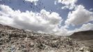 Birds fly over a garbage disposal site near Sanaa