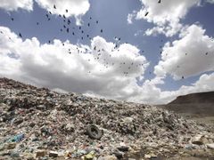 Birds fly over a garbage disposal site near Sanaa