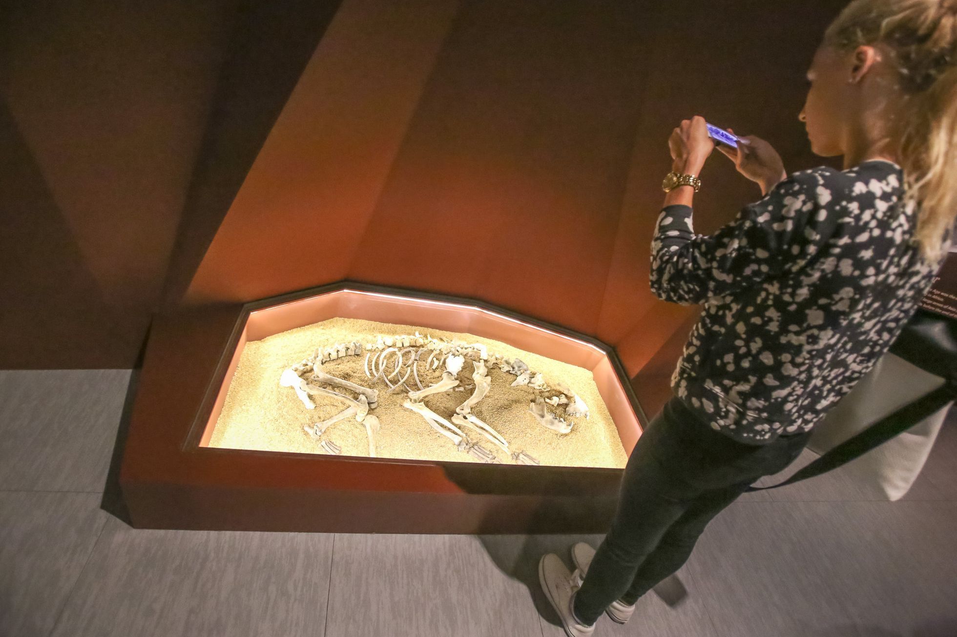 Zahájení přírodopisné výstavy Světlo a život v Nové budově Národního muzea