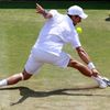 Wimbledon 2011: Novak Djokovič