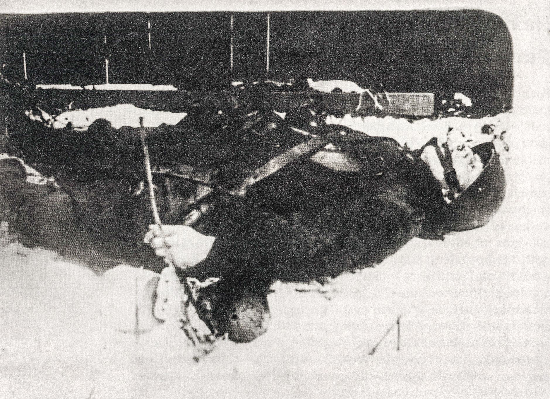 Podkarpatská Rus, Československo, Zakarpatská oblast, historie, Zahraničí