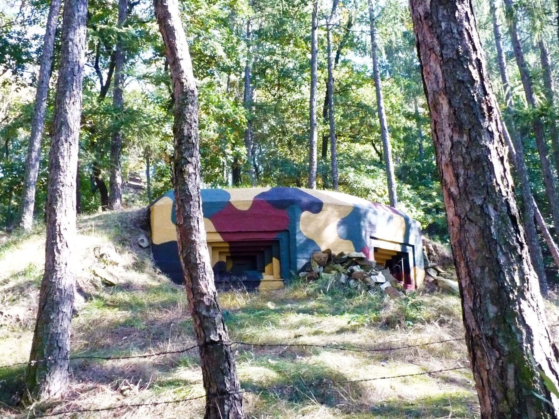 Pražská čára