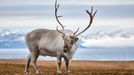 Porotci soutěže Czech Nature Photo vystavují na Staroměstské radnici