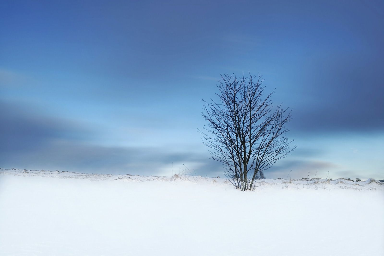 Michal Zigo, snímky pořízené mobilním telefonem