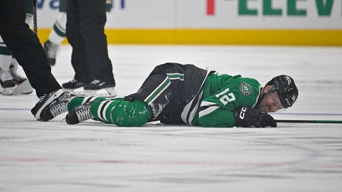 Radek Faksa