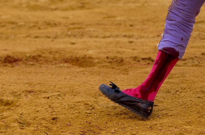 Spanish matador Nazare walks with his injured calf after being gored by a bull during a bullfight in Seville