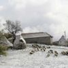 Evropa sníh Kosovo