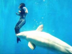 Velrybě Mile vděčí čínská potápěčka za svůj život