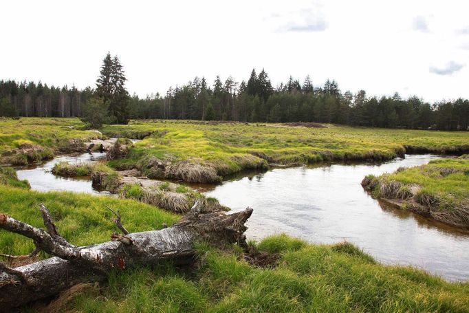 Šumava