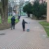 Muslimská komunita v Teplicích