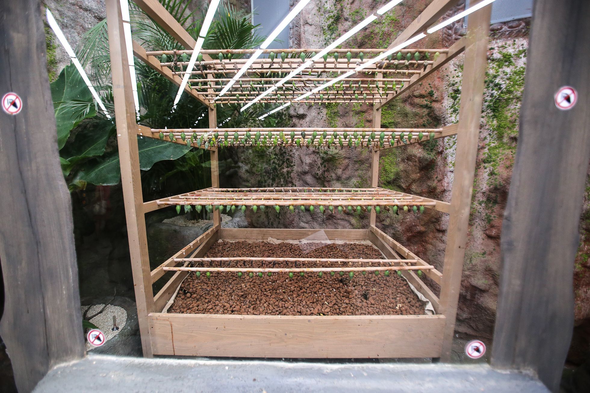 Motýlí dům v Praze v hračkářství Hamleys