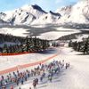Alpine Ski Racing 2007