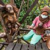 Wildlife Photographer of the Year, nominace na cenu veřejnosti