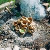 Domoškola Líšeň, domoškola, děti, škola, domoškolák, alternativní škola