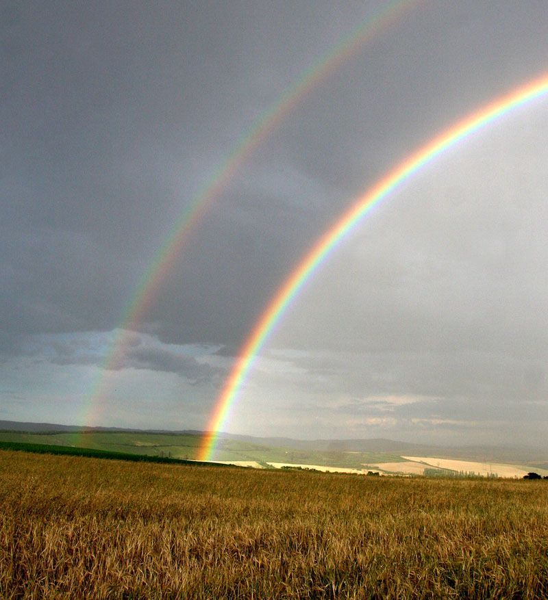 Duha nad jihomoravskými vinohrady