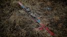 A Fischer ski lies in grass at the abandoned Alps Ski Resort