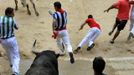 Runners sprint alongside Fuente Ymbro fighting bulls at the entrance to the bullring during the fifth running of the bulls at the San Fermin festival in Pamplona July 11, 2012. Several runners suffered light injuries in a run that lasted three minutes and twelve seconds, according to local media. REUTERS/Eloy Alonso (SPAIN - Tags: ANIMALS SOCIETY) Published: Čec. 11, 2012, 9:06 dop.